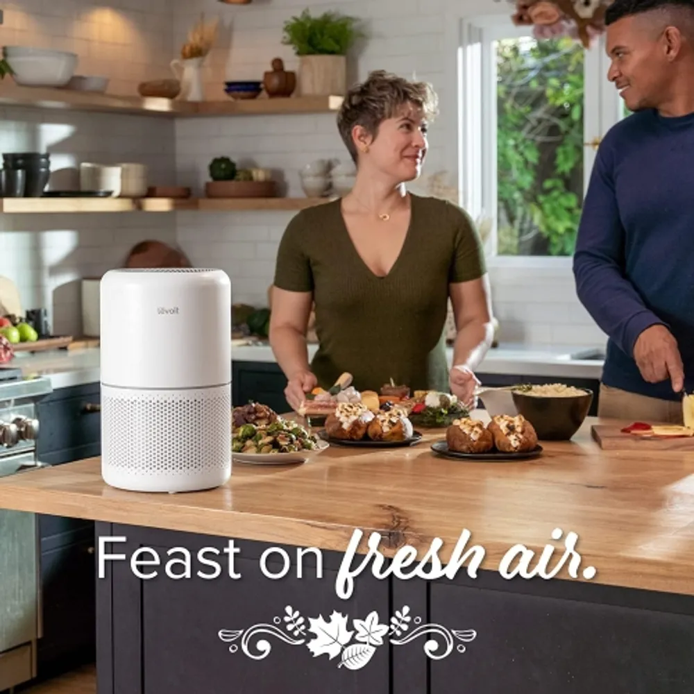 Levoit air purifier sales for home allergies