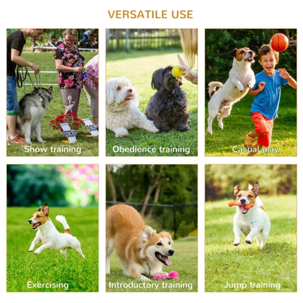 PawHut 3 Piece Dog Agility Training Equipment for Indoor Outdoor