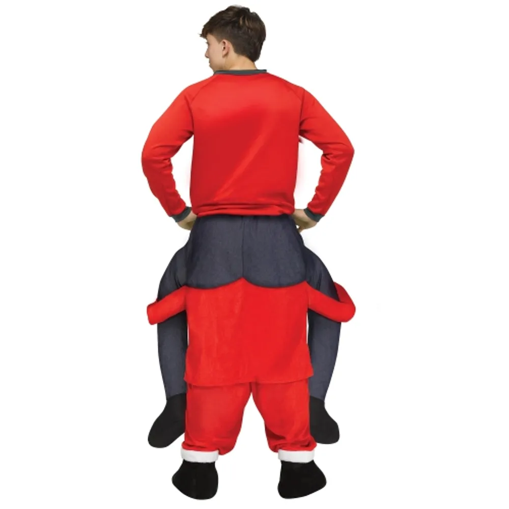 Carry me santa costume hotsell