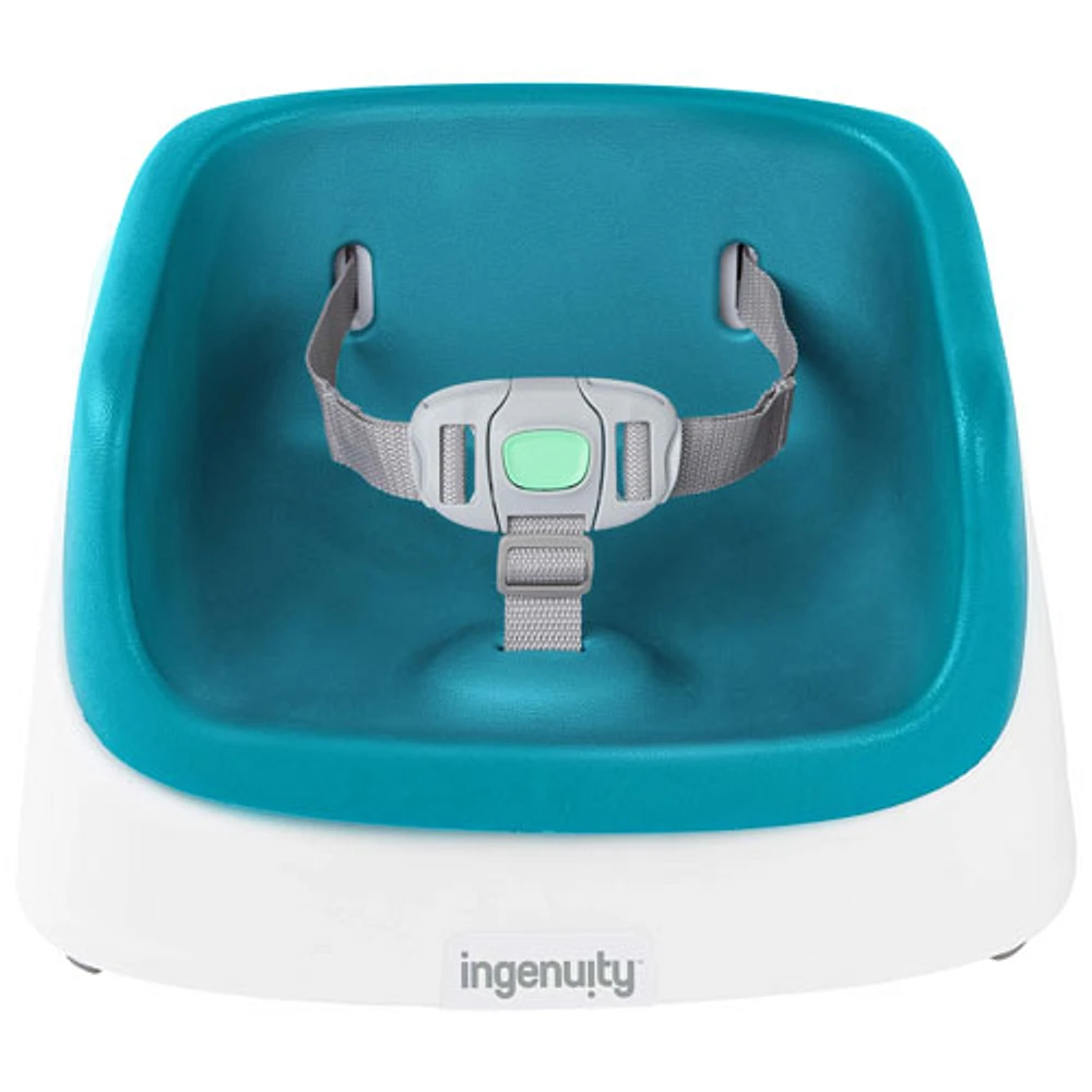 Ingenuity smart clean booster shop