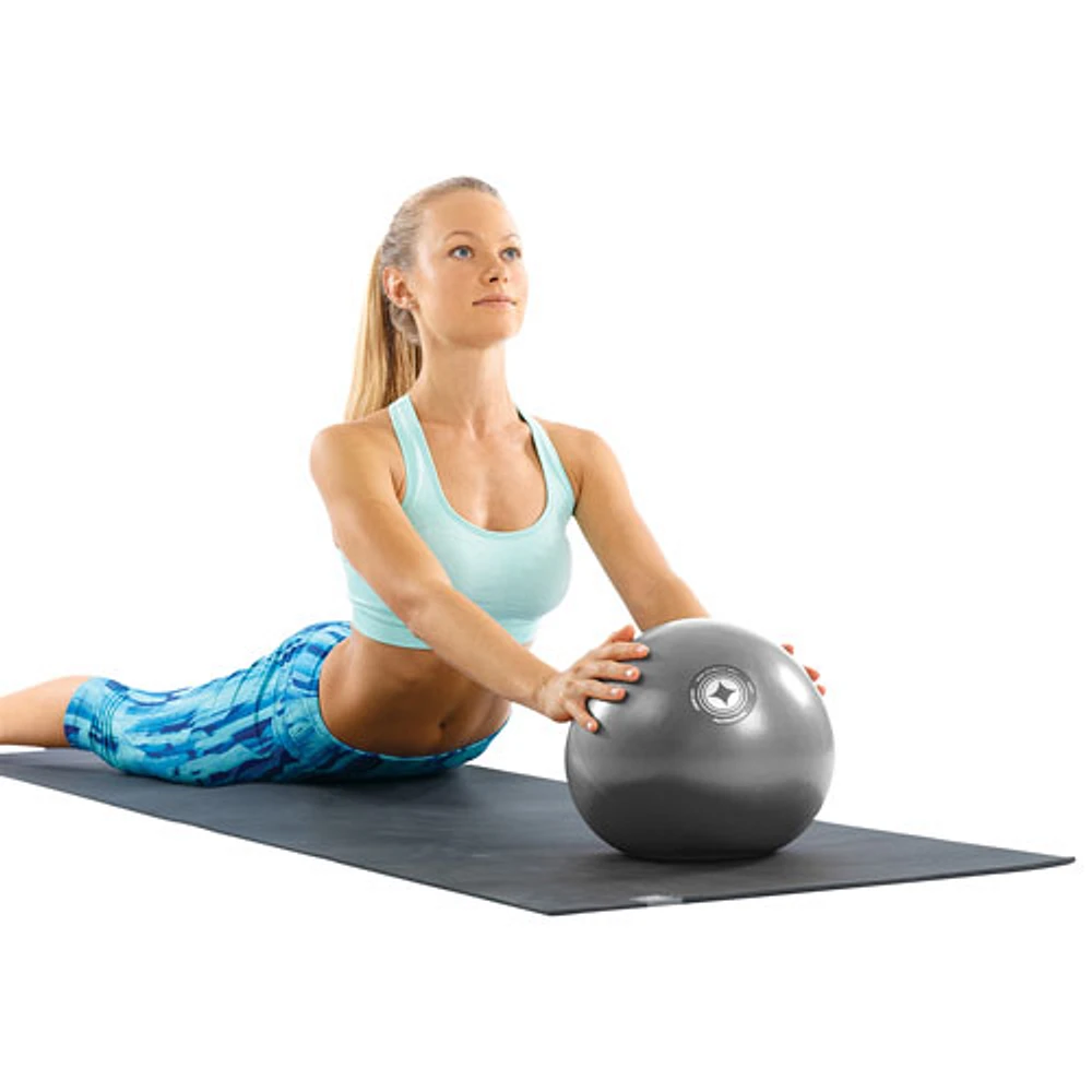 Merrithew mini stability ball 2025