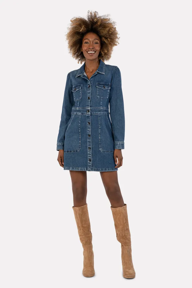 KUT FROM THE KLOTH Priscilla L S Shirt Dress with Pork Chop
