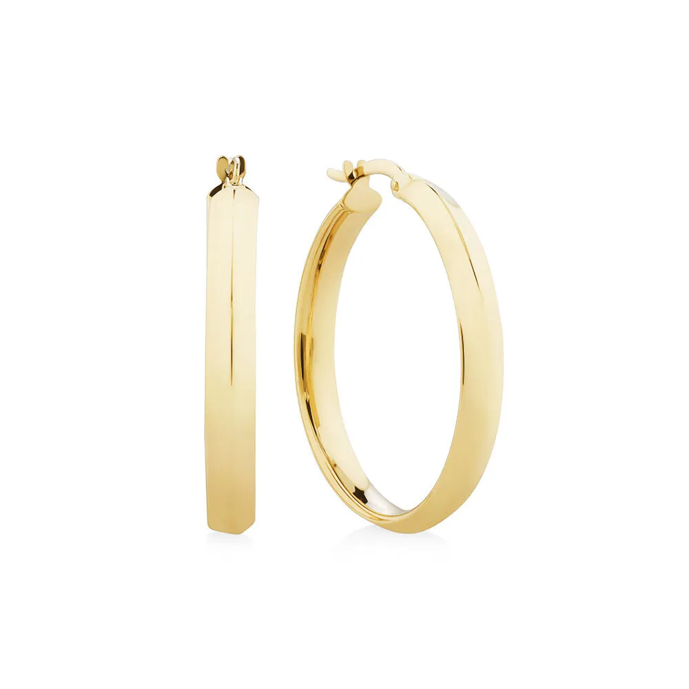 Michael hill jewellers clearance gold hoop earrings