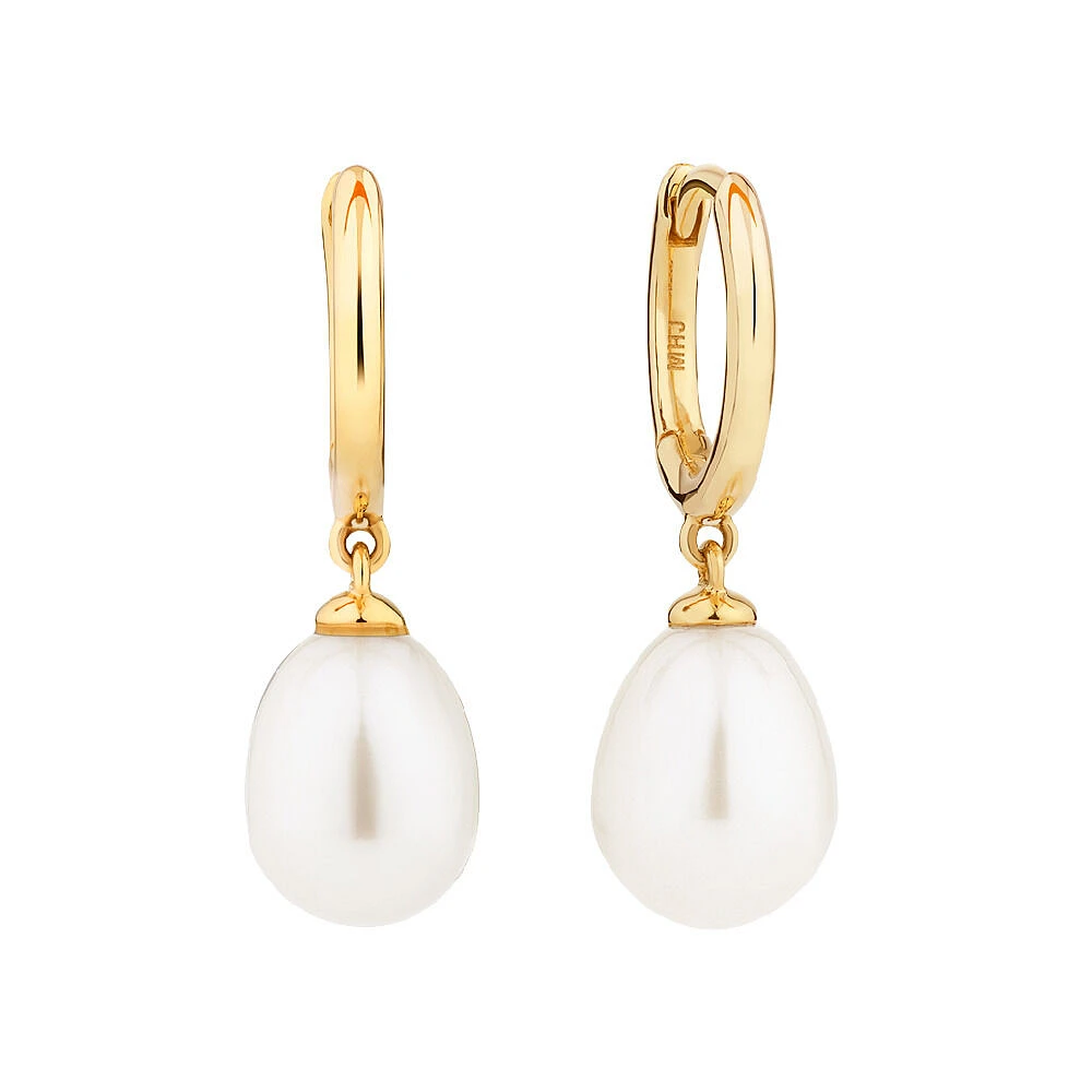 Gold hoop earrings michael hill sale