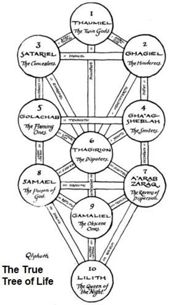 Barnes and Noble The True Tree of Life: The Qliphotic Tree in Reverse ...