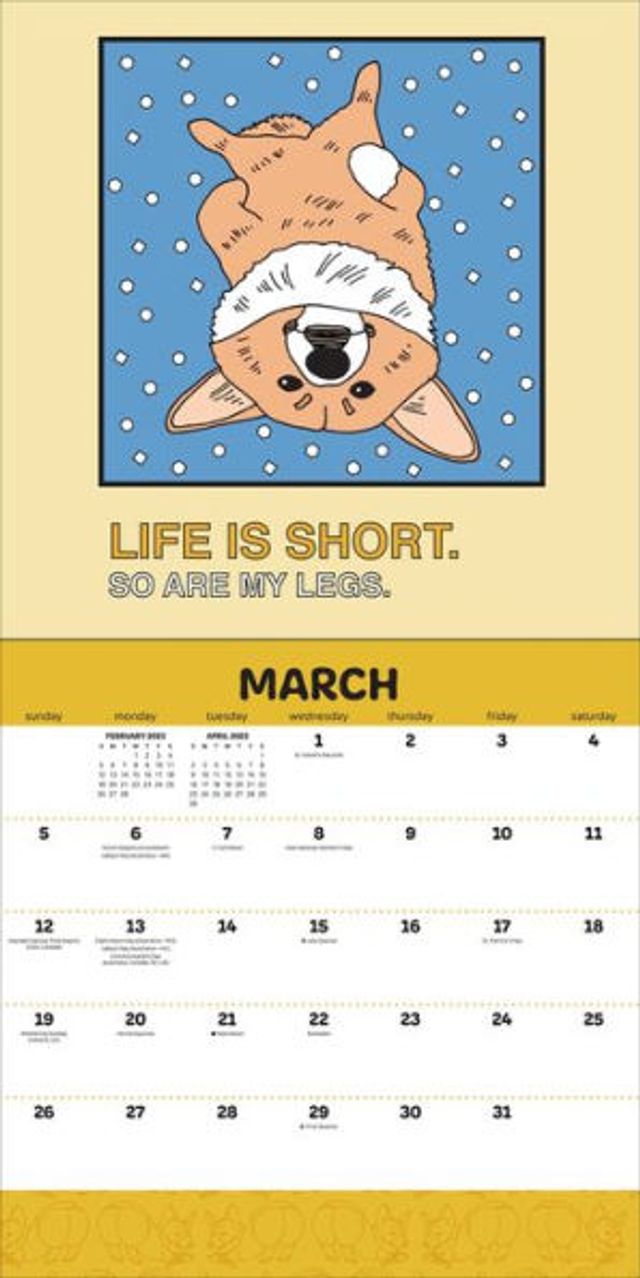Barnes And Noble Corgi Butts 2023 Wall Calendar An Outrageously Cute Look At The Greatest Booty