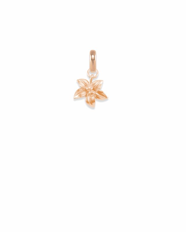 Kendra scott state charms hot sale