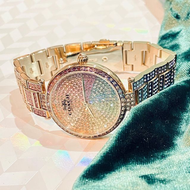 Rogers Hollands Jewelers Coach Ladies Park Crystal Rainbow