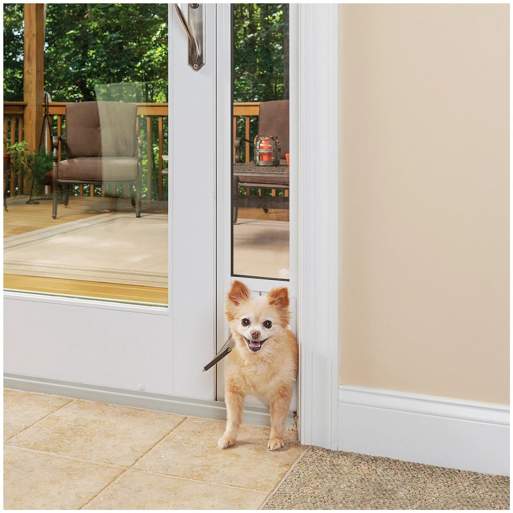 Petsmart doggie door best sale