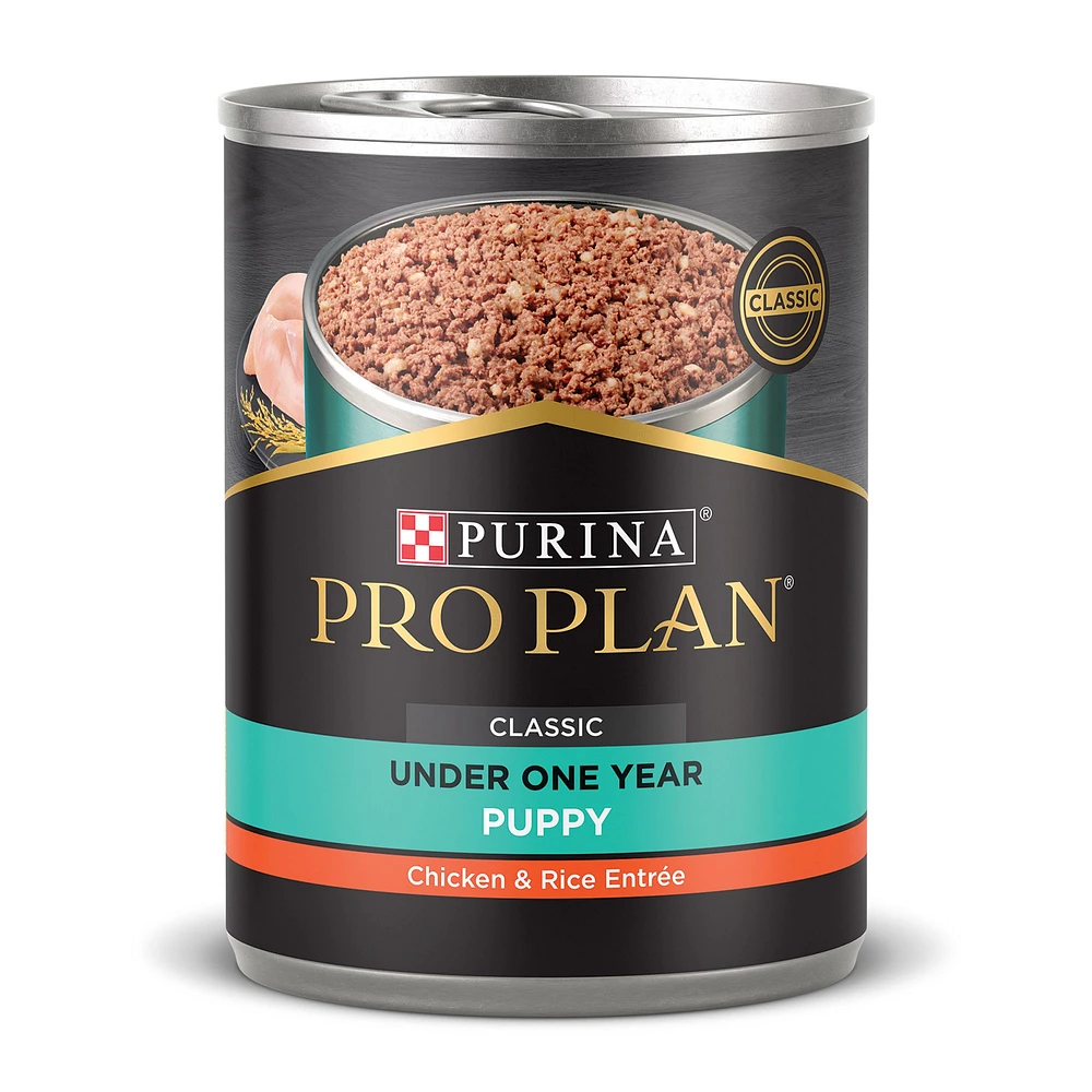 Purina Pro Plan Focus Puppy Wet Dog Food High Protein 13 Oz