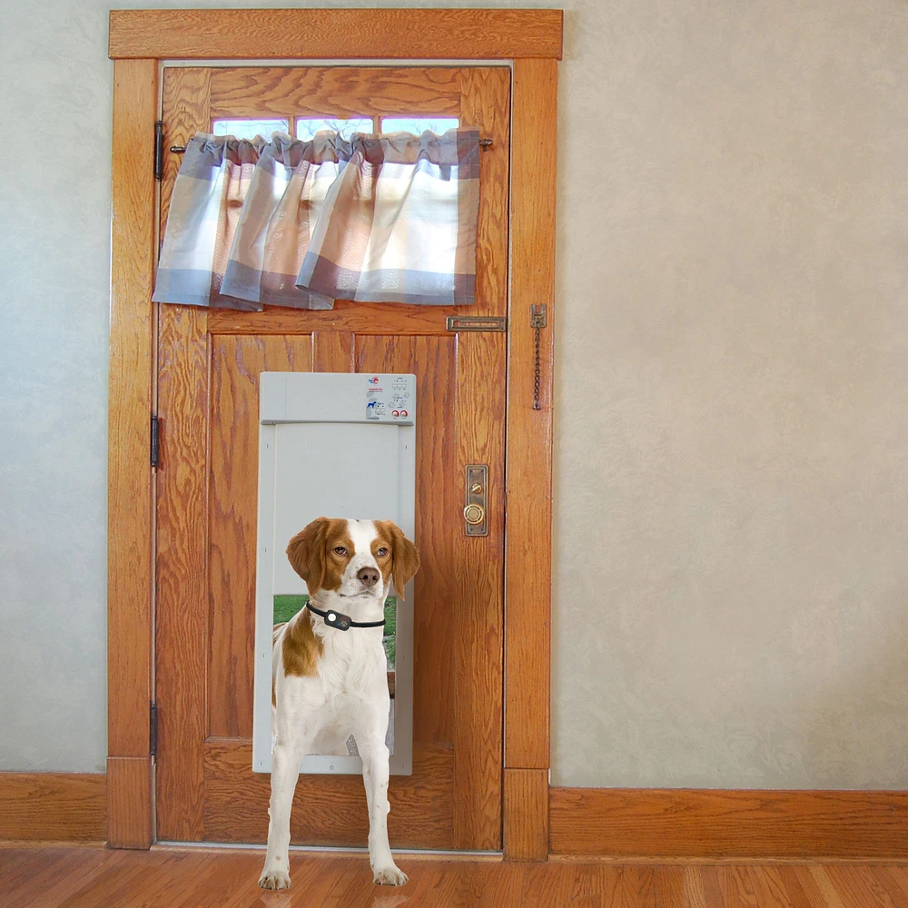 High tech power pet door best sale