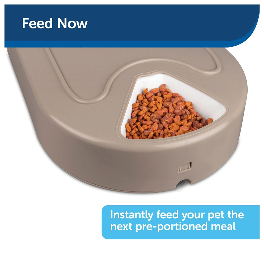 PetSafe Eatwell 5 Meal Automatic Pet Feeder The Market Place