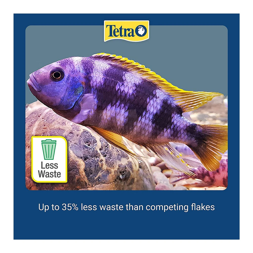 Petsmart cichlids best sale