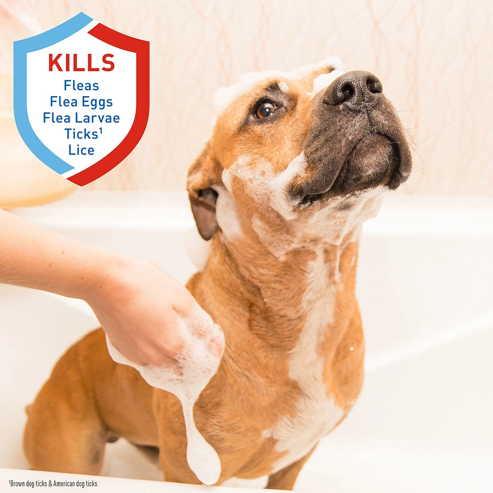 Mite shampoo for dogs petsmart best sale