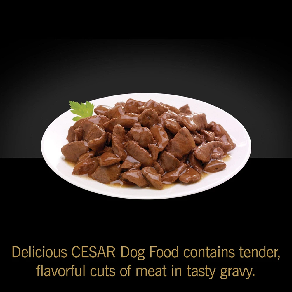 Cesar Classics Adult Wet Dog Food Filets in Gravy 12 Count