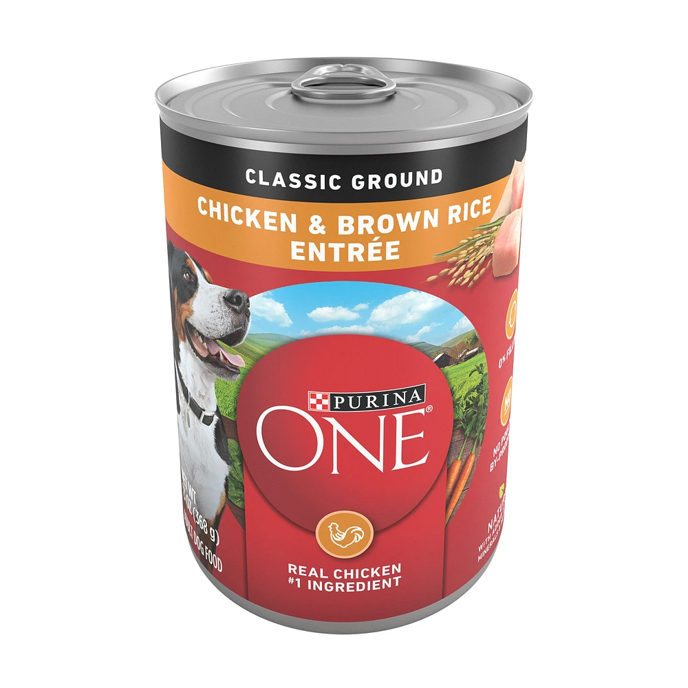 Purina ONE SmartBlend Everyday Nutrition Adult Dog Wet Food