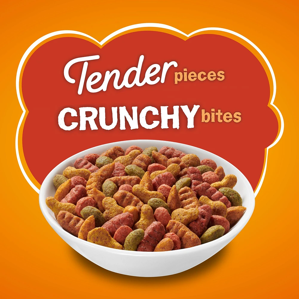 Friskies Purina Friskies Tender and Crunchy Combo Adult Cat Dry