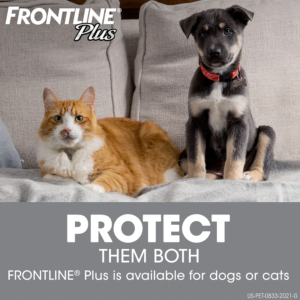 Frontline for cats boots best sale