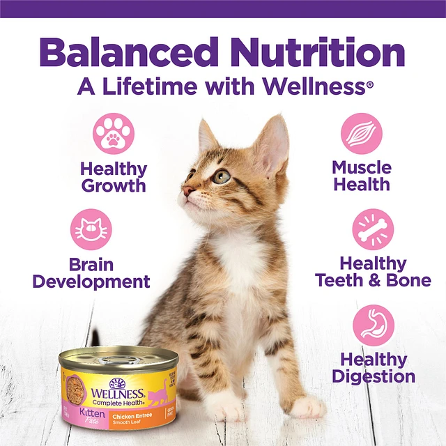 Wellness Complete Health Kitten Pate Favorites Wet Cat Food