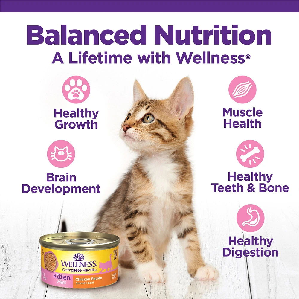 Wellness Complete Health Kitten Wet Cat Food Pate 3 oz Natural