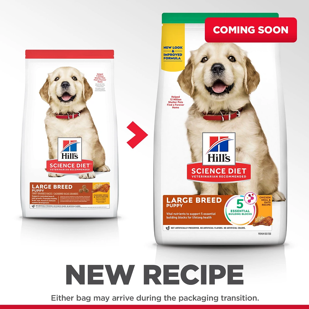 Petsmart science diet large breed puppy best sale