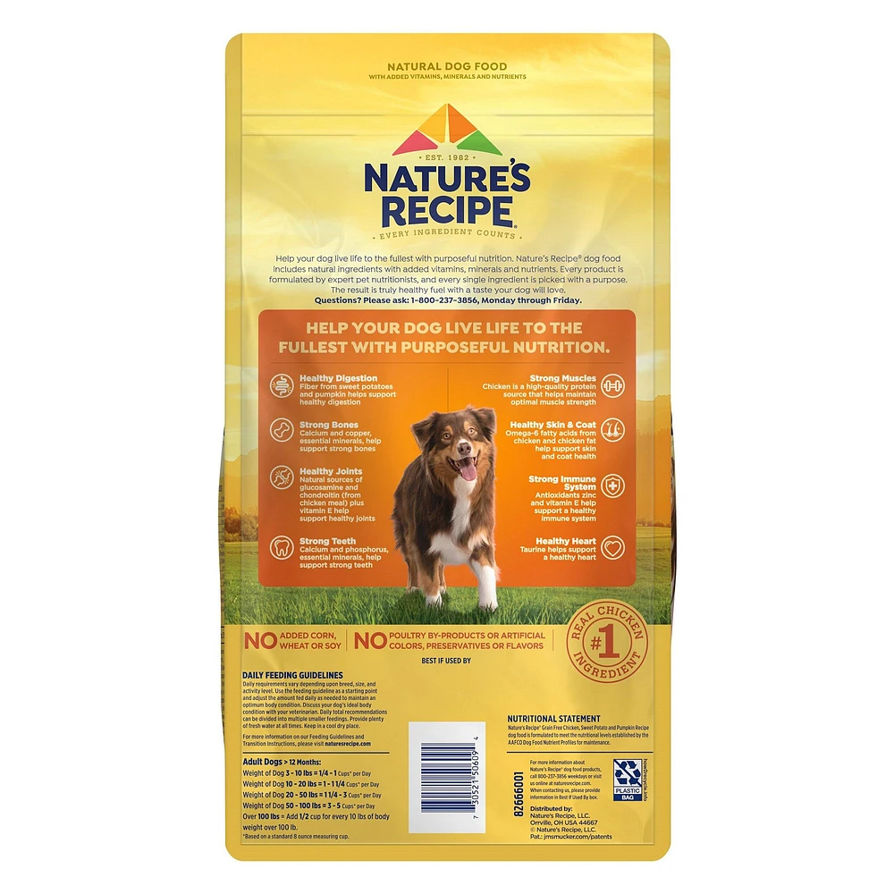 Nature s Recipe Adult Dry Dog Food Chicken Sweet Potato The