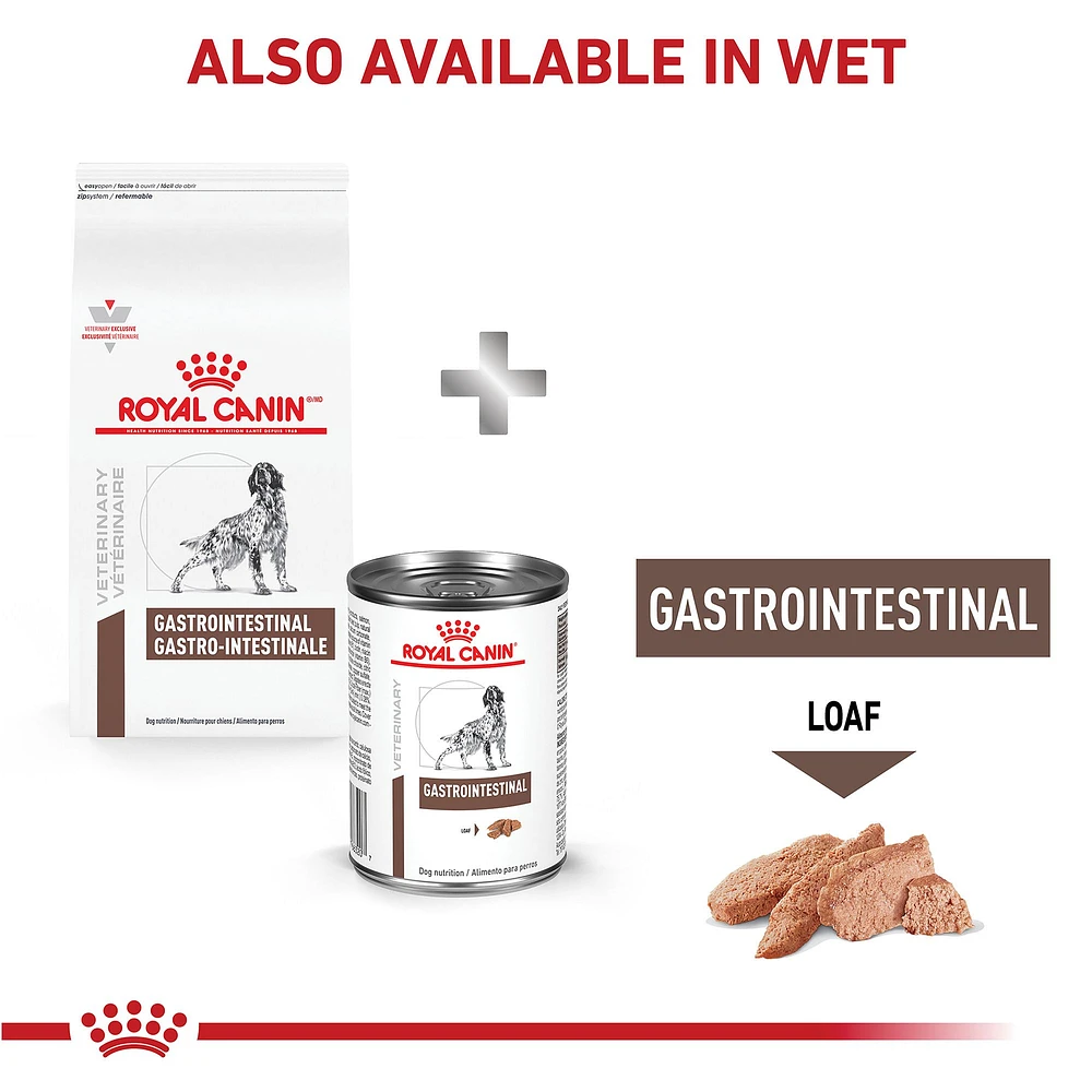 Royal Canin Veterinary Diet Canine Gastrointestinal Adult Dry Dog