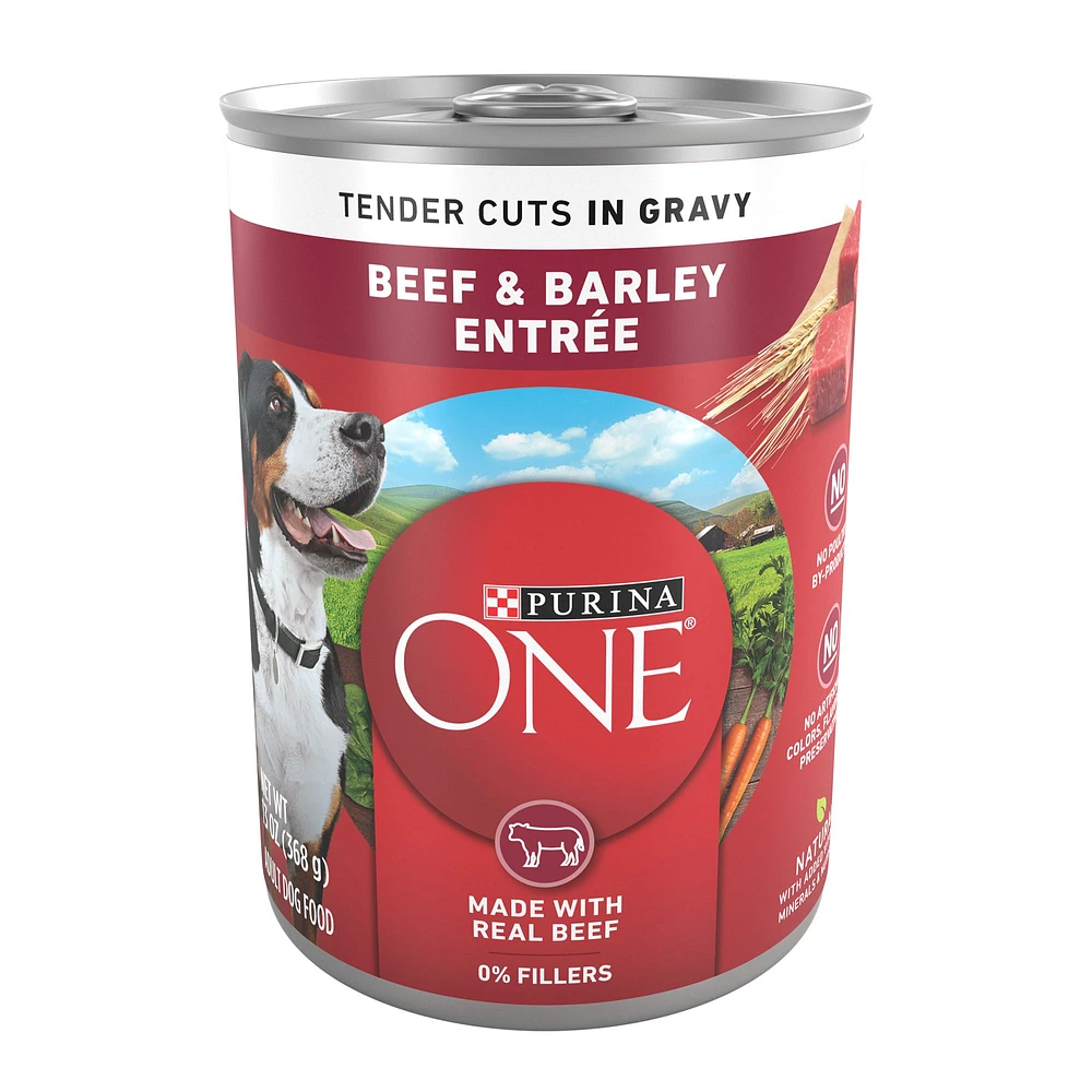 Purina ONE SmartBlend Everyday Nutrition Adult Dog Wet Food 13 oz