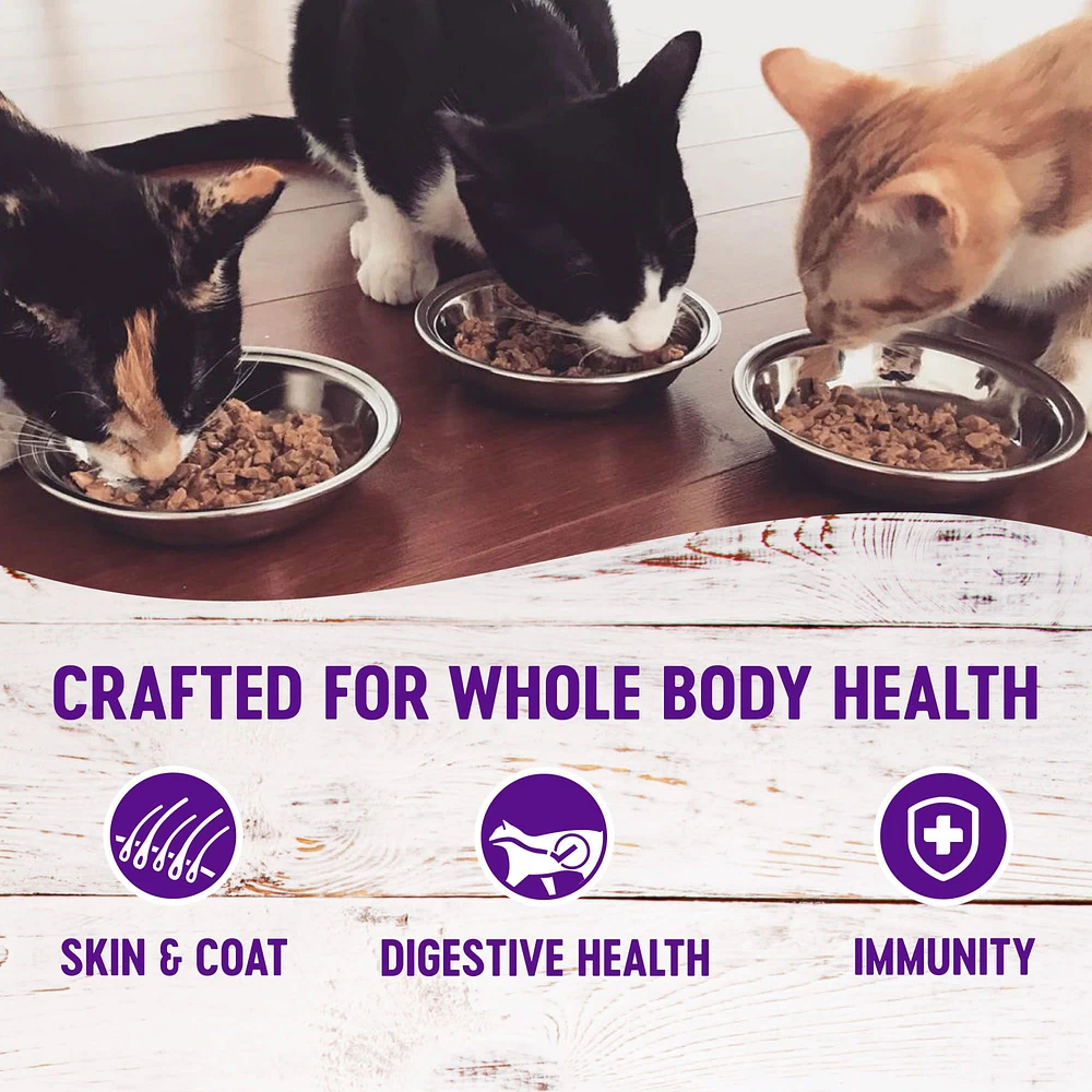 Wellness Minced Cat Food Natural Grain Free The Market Place