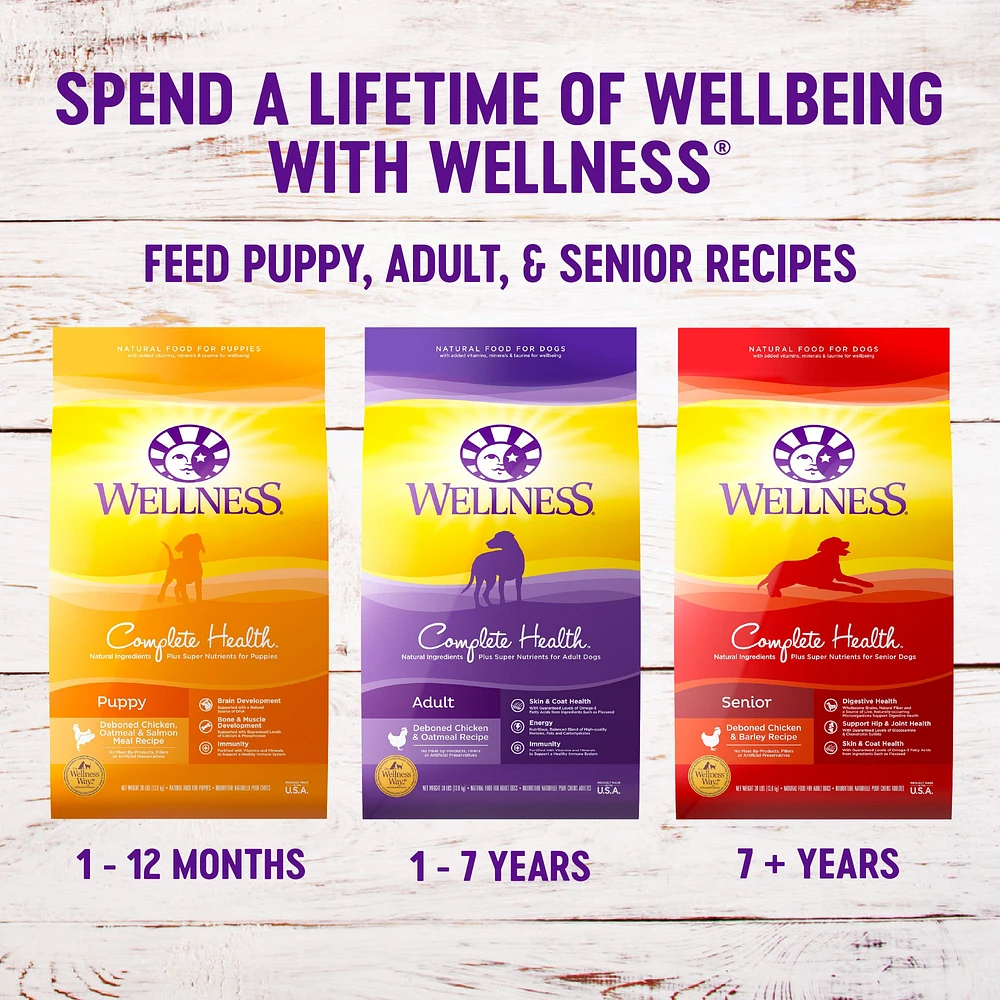 Wellness Complete Health Healthy Weight Small Breed Adult Senior