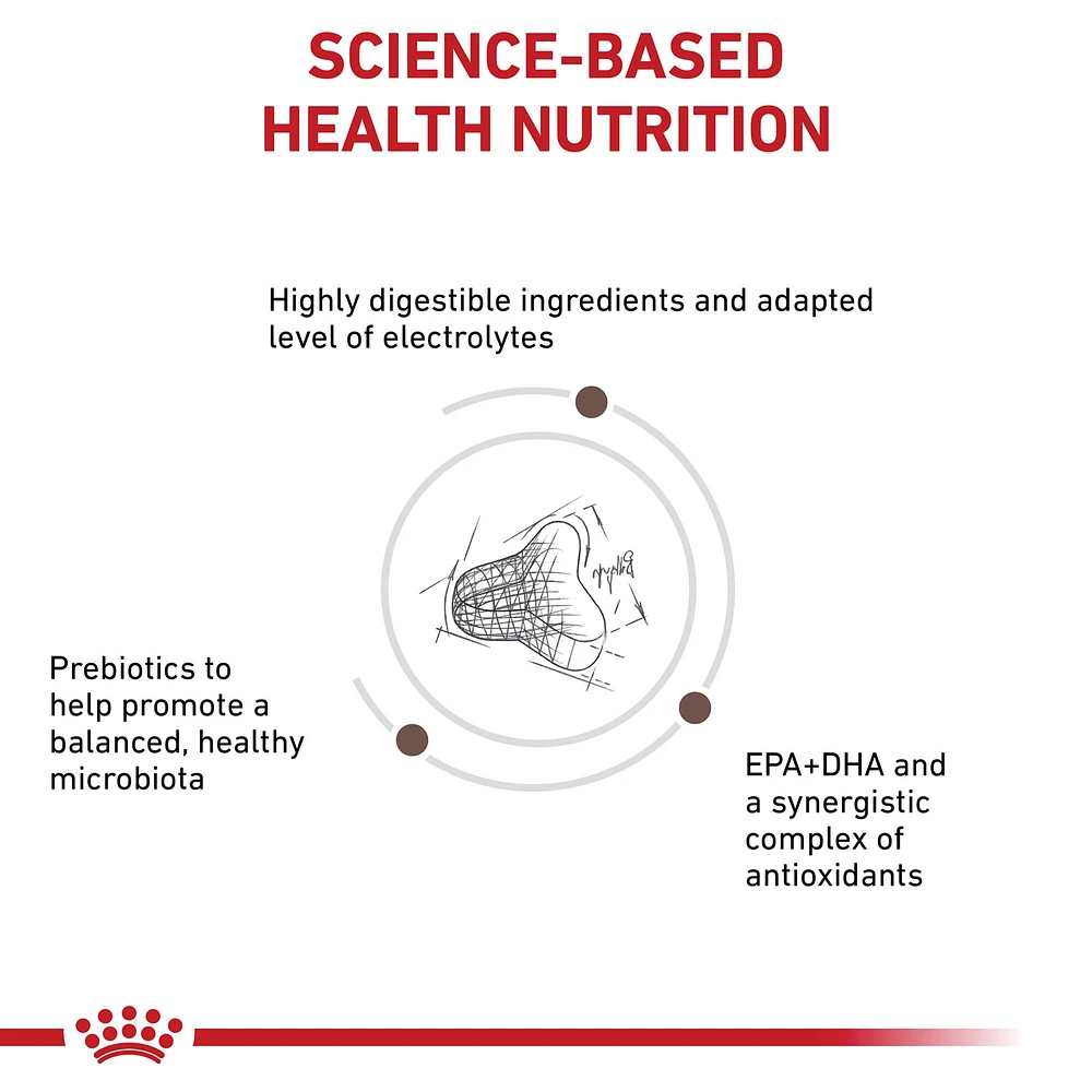 Royal Canin Veterinary Diet Feline Gastrointestinal Fiber