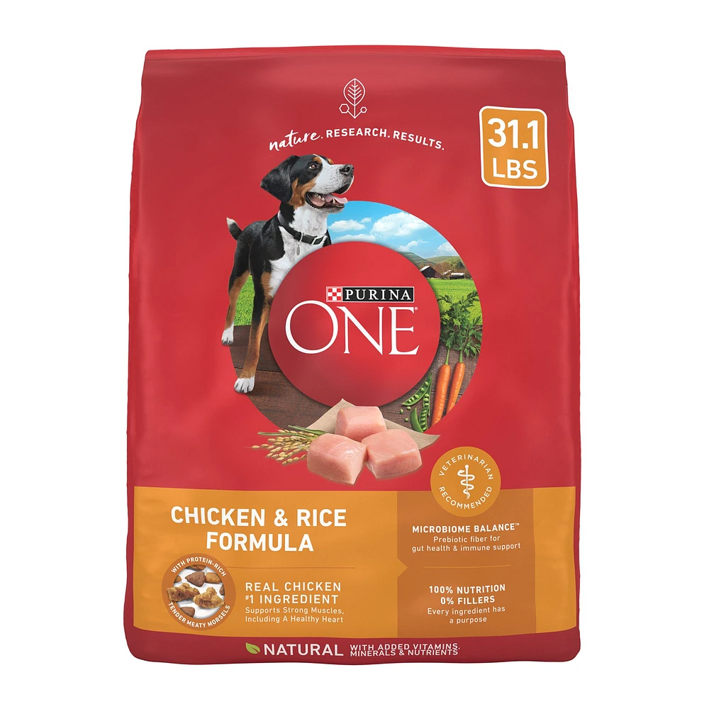 Purina ONE SmartBlend Everyday Nutrition Adult Dog Dry Food