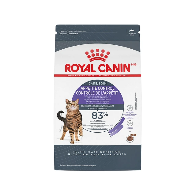 Royal Canin American Shorthair Adult Cat Food 5.5LB The Market Place