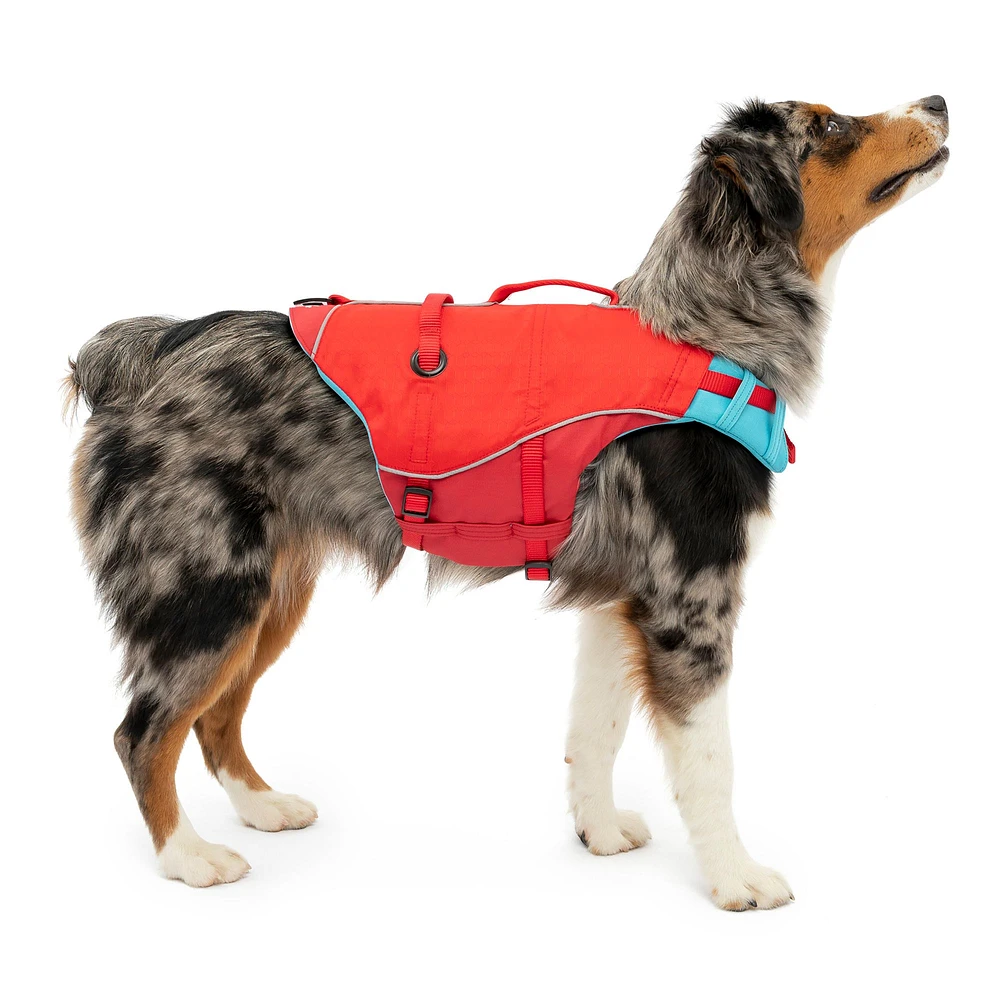 Kurgo harness petsmart best sale