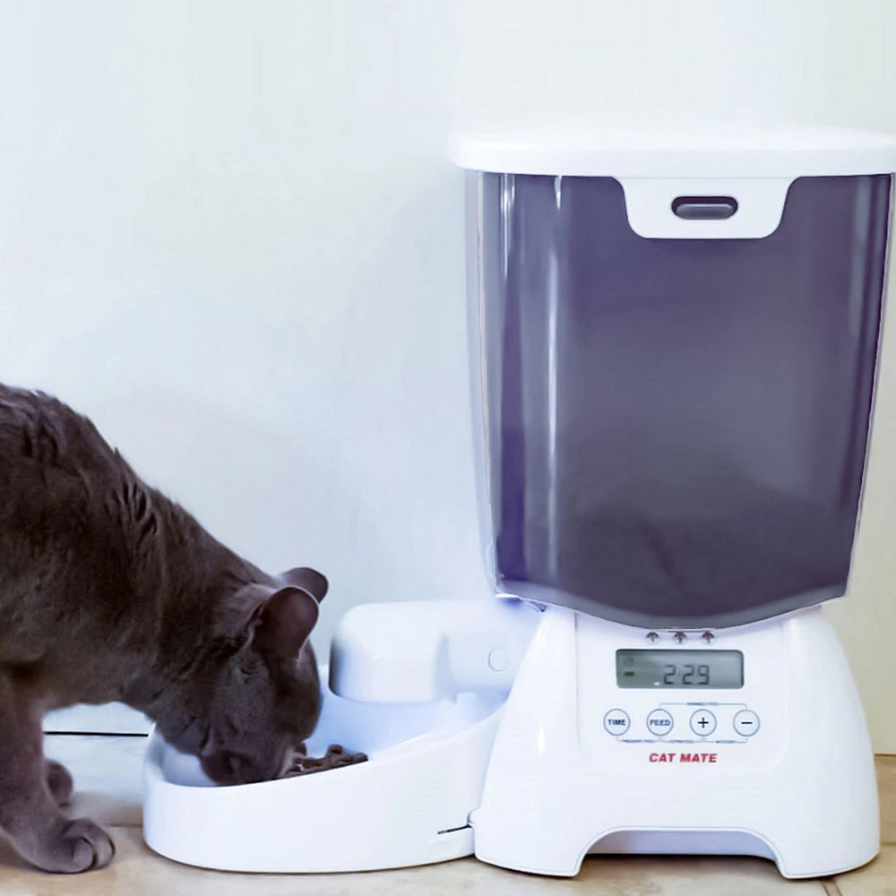 Automatic cat feeder petsmart best sale