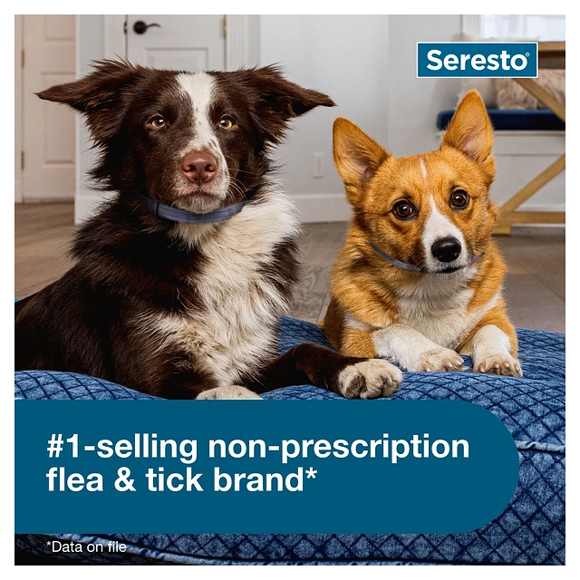 Petsmart seresto fashion