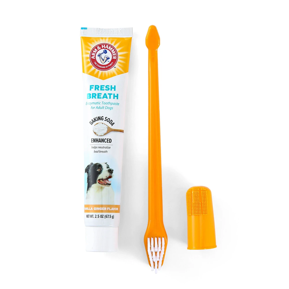 Arm and hammer dog toothpaste vanilla ginger best sale