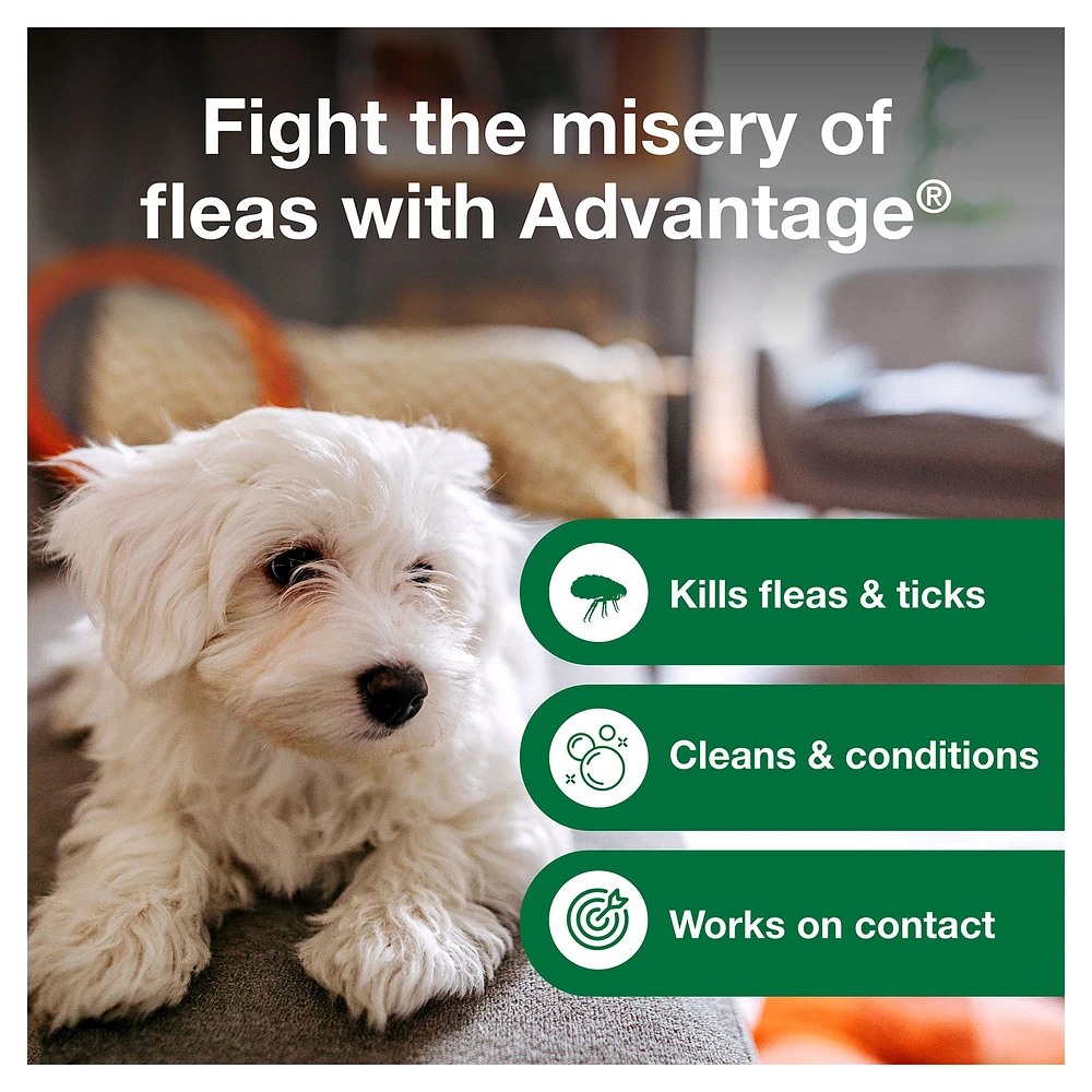 Advantage flea petsmart best sale