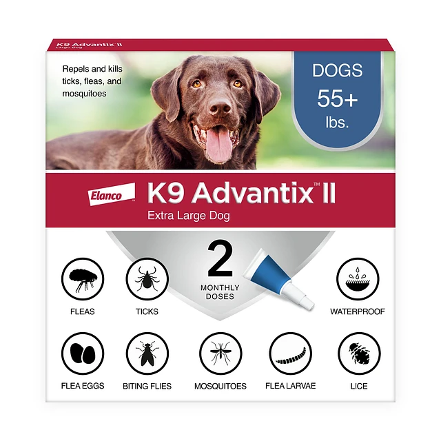 Dog lice medication best sale