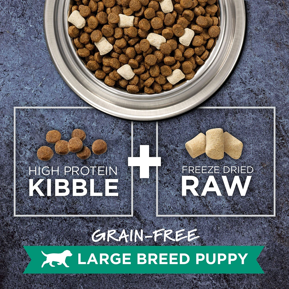 Instinct Raw Boost Large Breed Puppy Dry Dog Food Grain Free