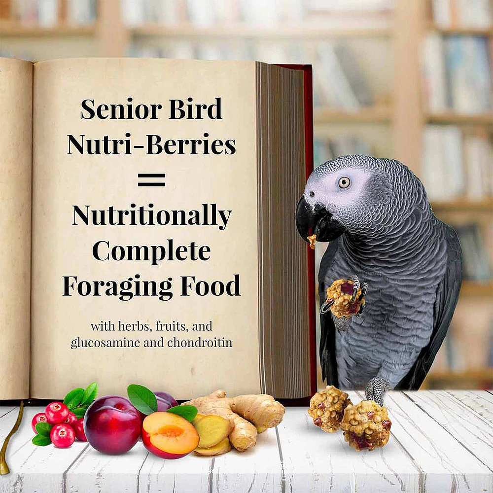 Lafeber s Nutri Berries Senior Parrot Dry Food The Market Place