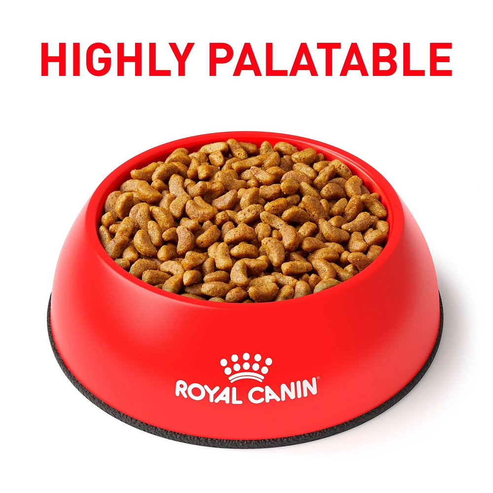 Petsmart royal canin hepatic hotsell