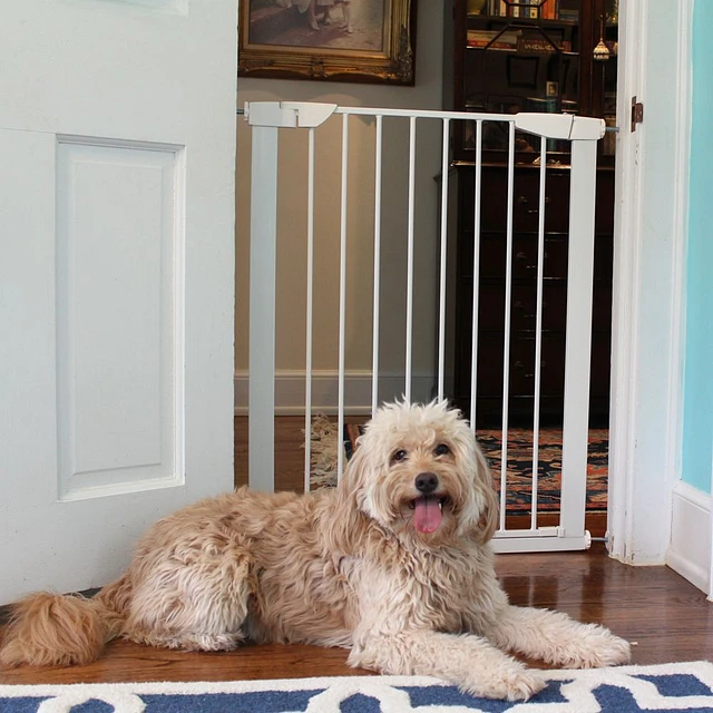 Fashion petsmart animal gates