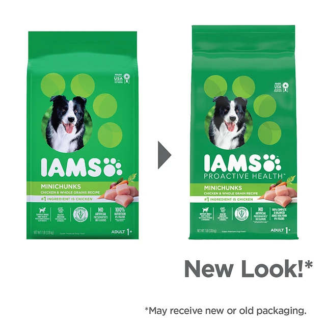 IAMS Proactive Health Adult Dry Dog Food Mini Chunks Chicken Whole Grains