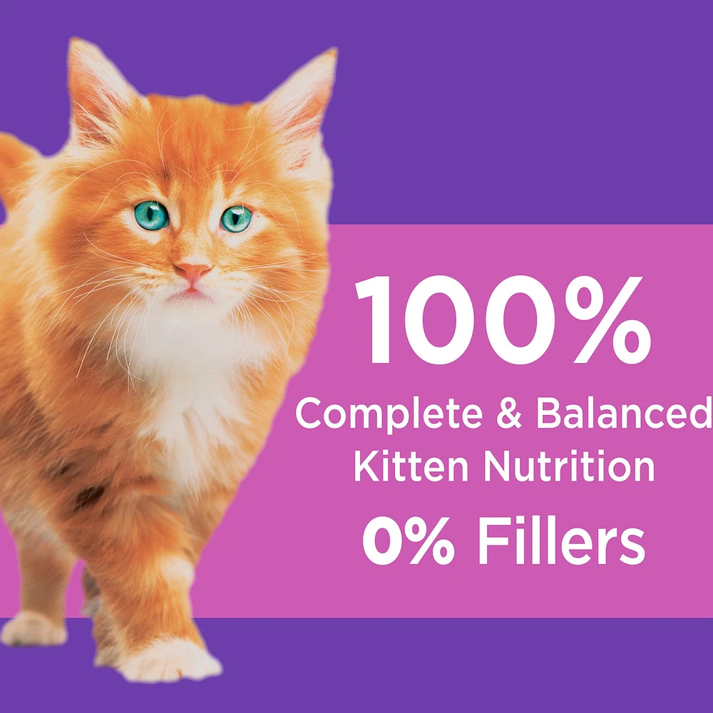 IAMS Proactive Health Kitten Dry Cat Food Healthy Development