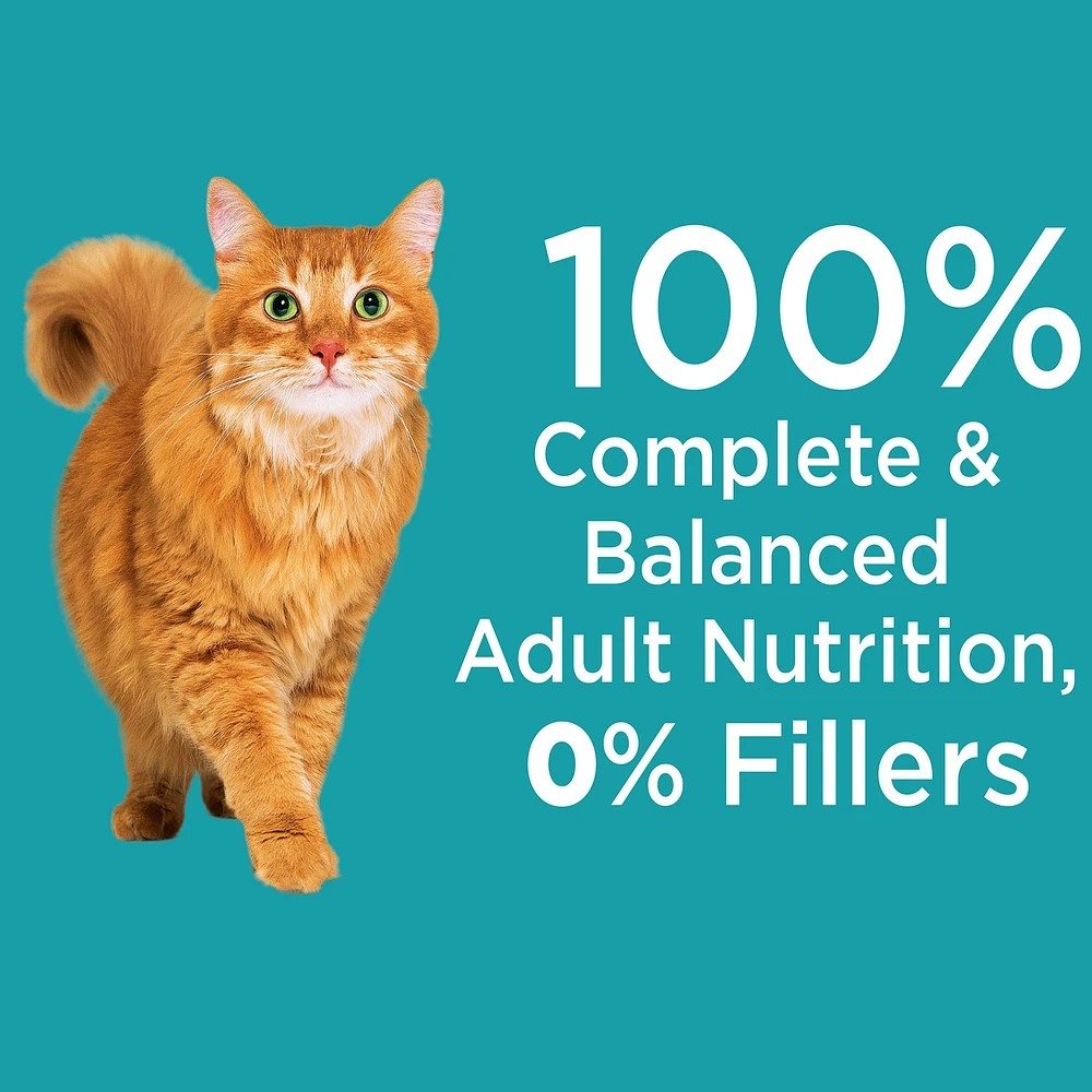 IAMS Proactive Health Indoor Adult Dry Cat Food Weight