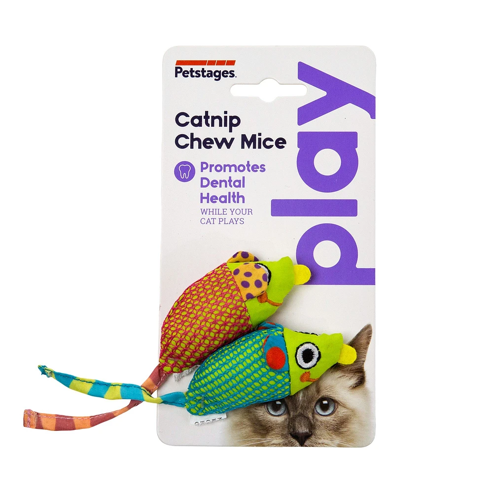 Kitten teething toys petsmart best sale