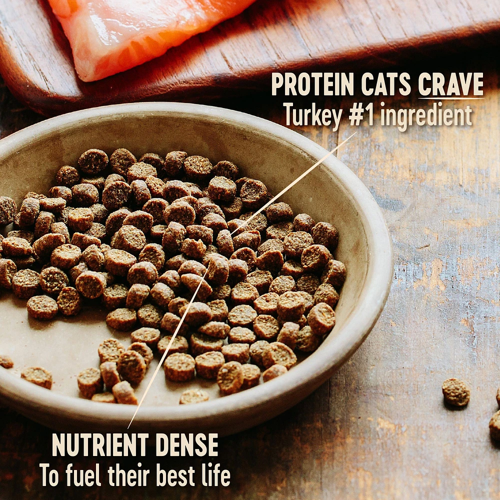 Wellness CORE Adult Cat Food Natural Grain Free The Market