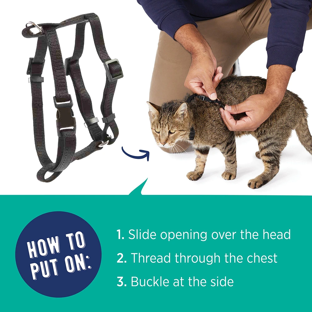 Cat harness petsmart hotsell