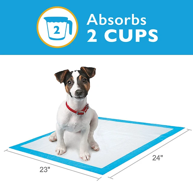 Pee pad holder petsmart best sale